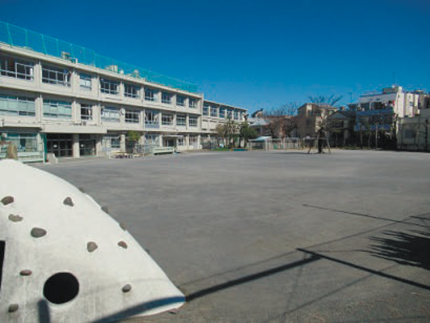 Uploaded Image
