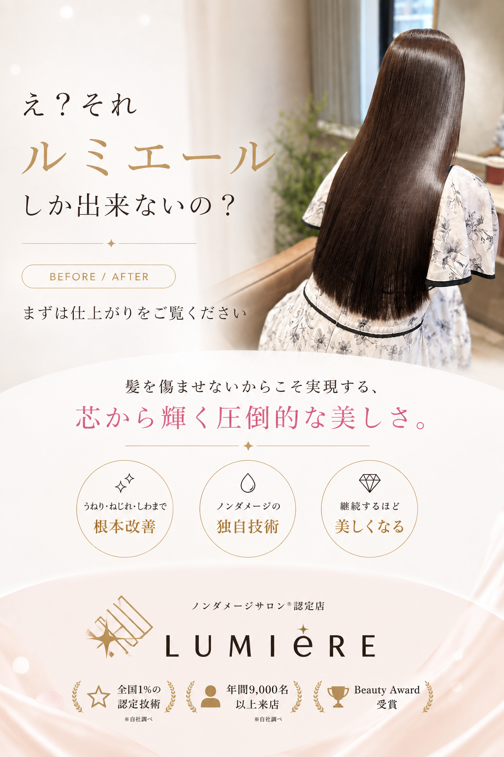 ルミエールの実績