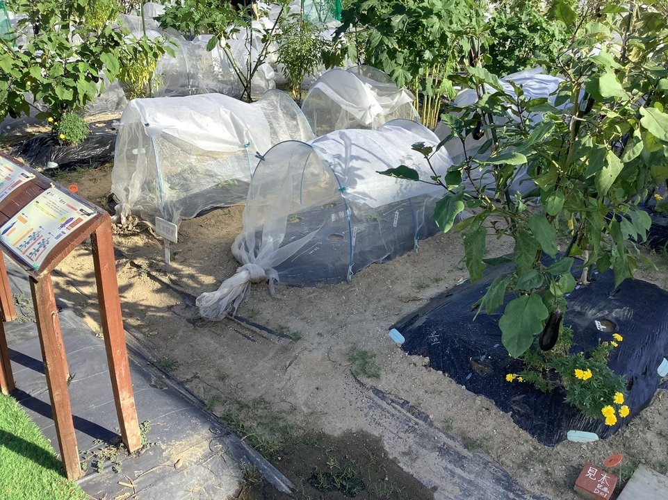 家庭菜園・市民農園