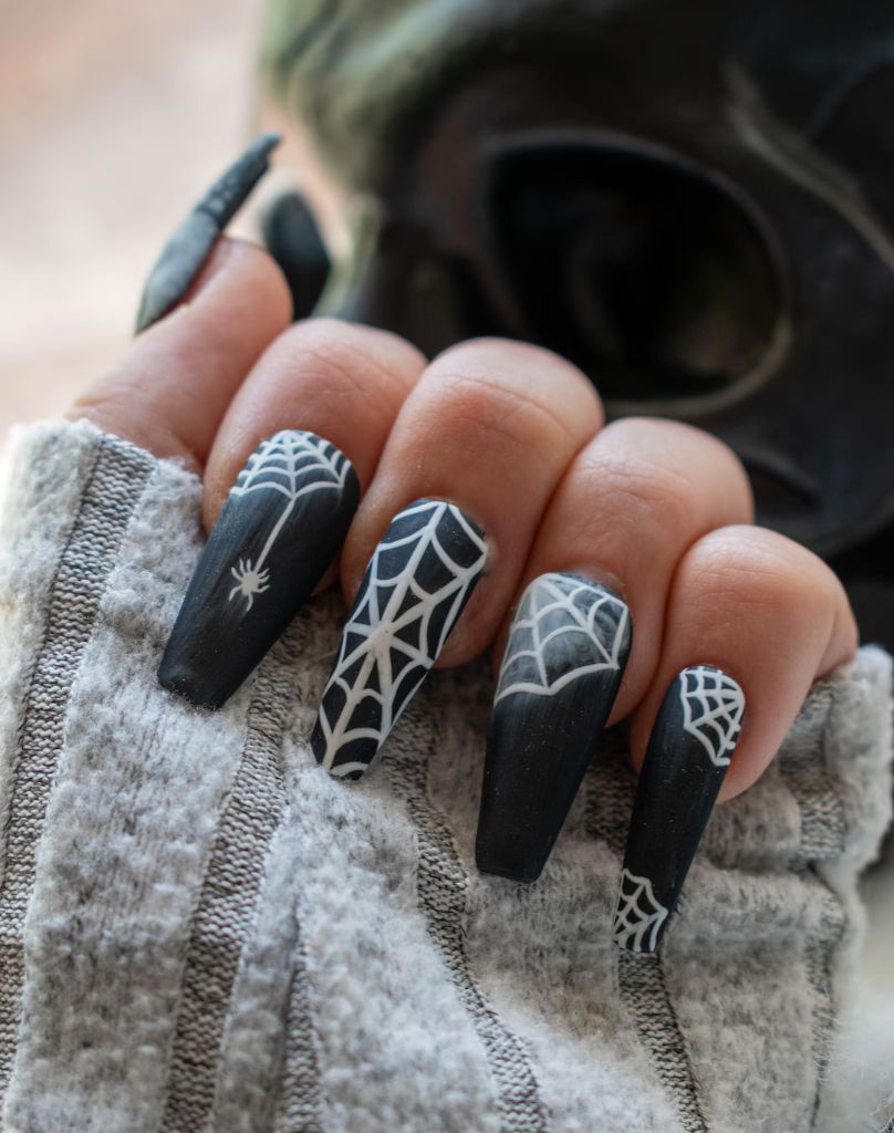 Spider Web Architecture Design