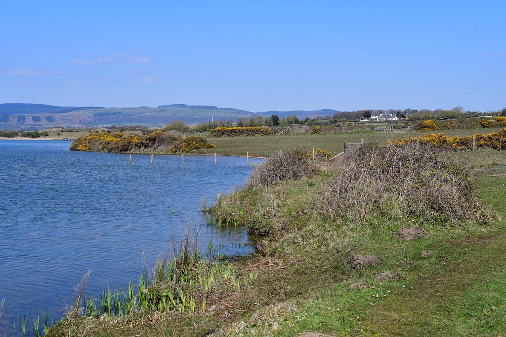 Kenfig National Nature Reserve