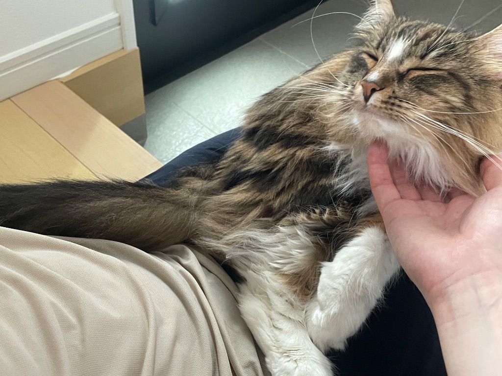 The Moment of Ultimate Bliss