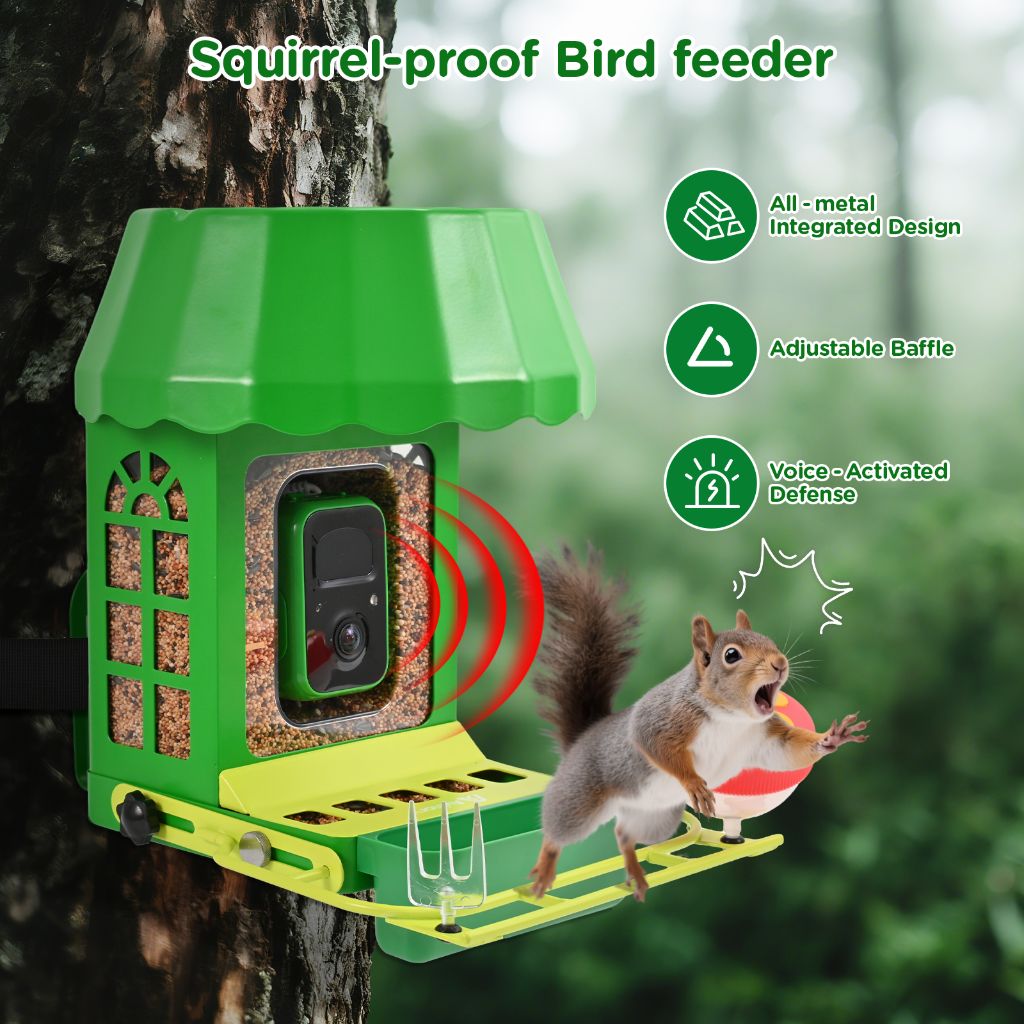 Squirrel Proof Bird Feeder