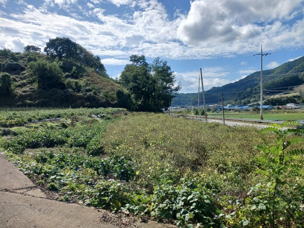 장연랜드 전경 5