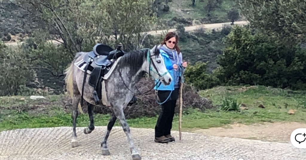 Natural Horsemanship