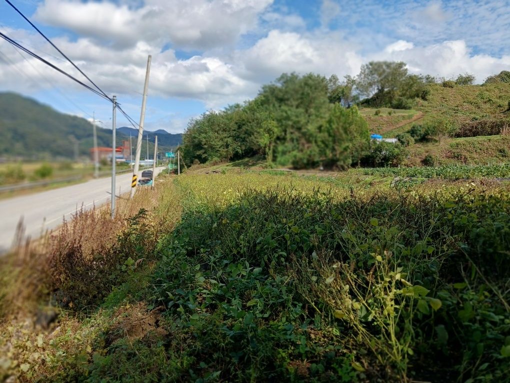 장연랜드 전경 3