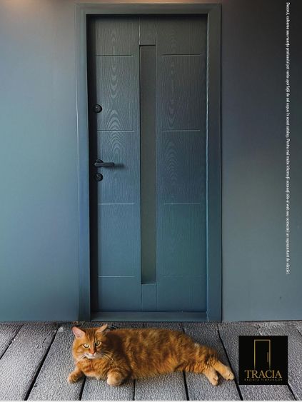 Ușă Metalică Tracia - Textură Lemn cu Sticlă