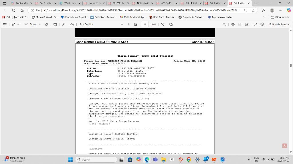 Charge Summary Crown Brief