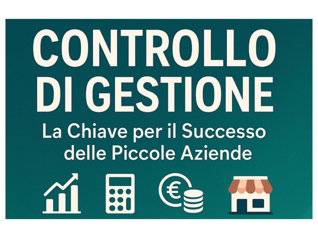 Guida Controllo di Gestione PMI