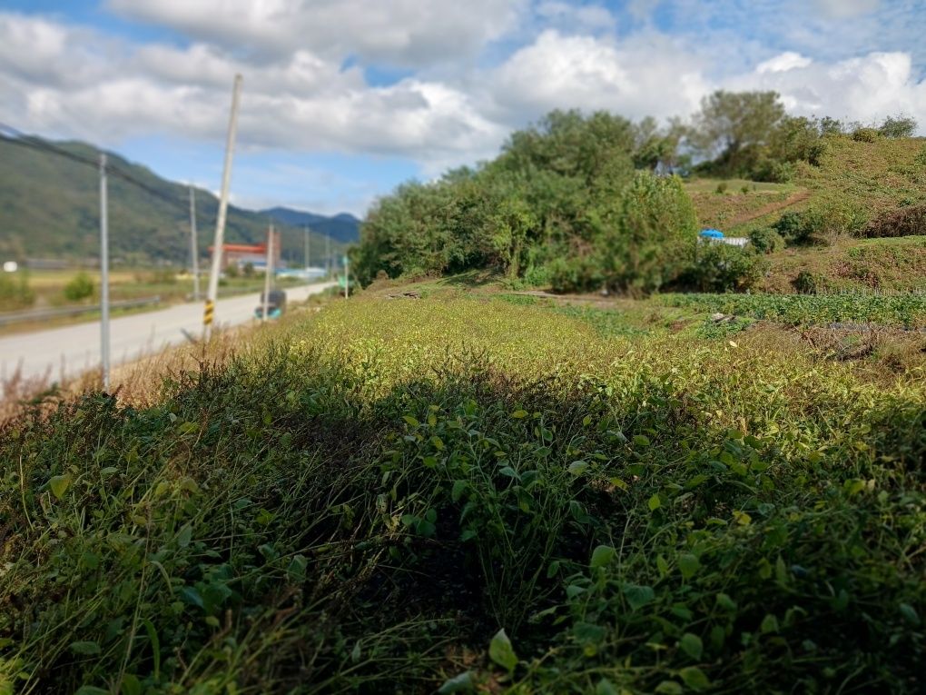 장연랜드 전경 4