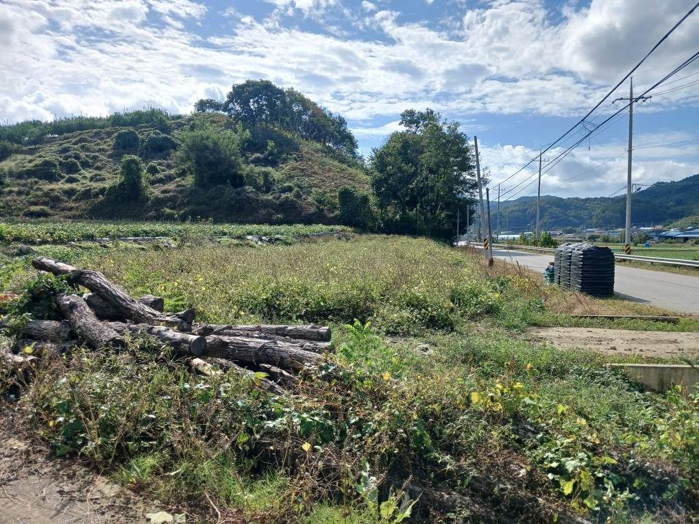 장연랜드 전경 2