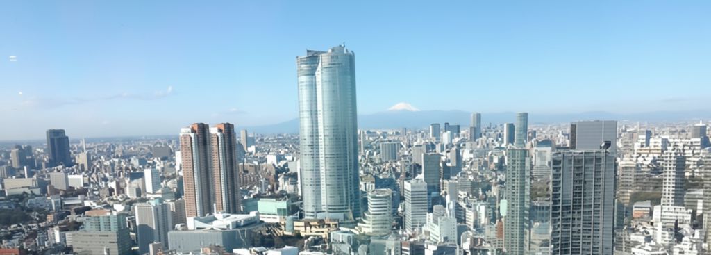 서울 도시 전경