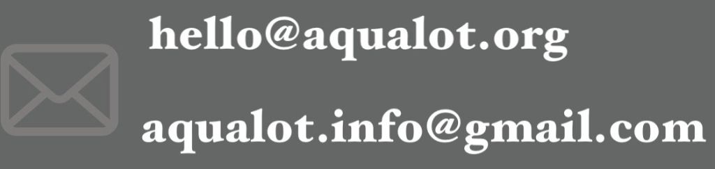 メールアドレス