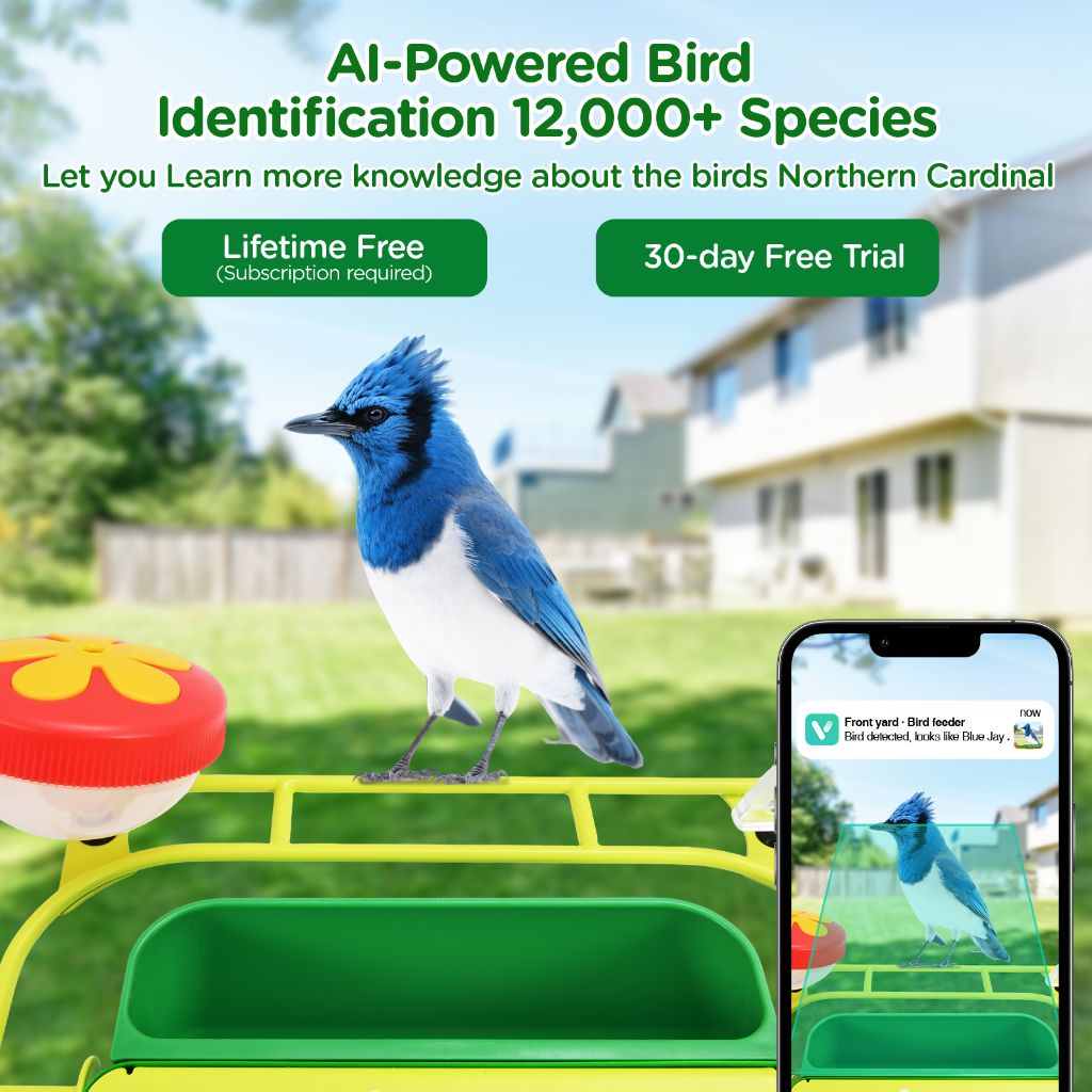 AI Bird Identification
