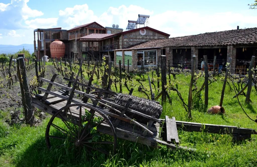 Sinfonia Georgiana - Tradizioni tra Vigne e Valli