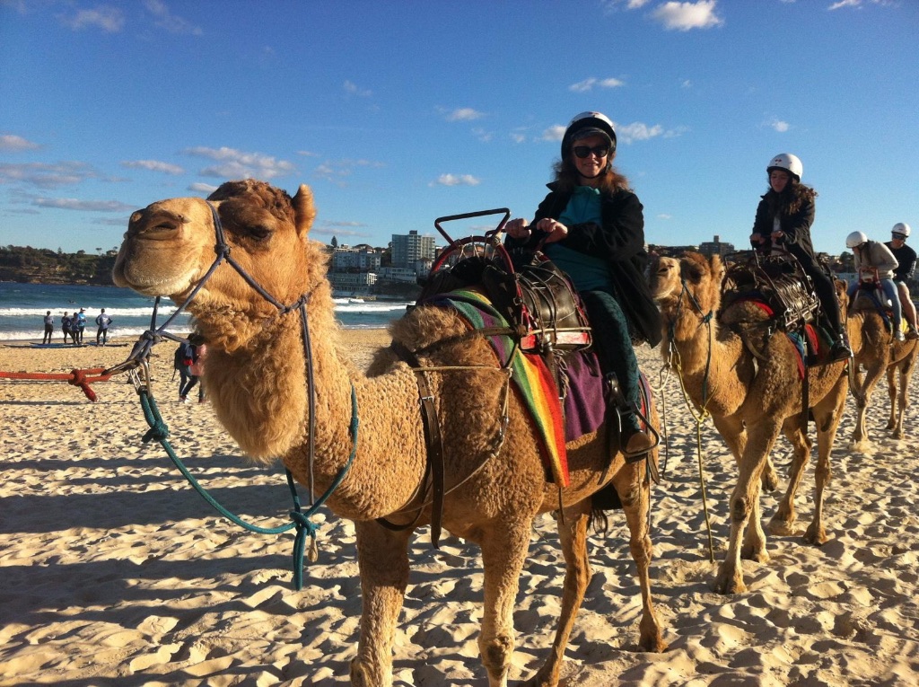 Adventure & Travel - Camel Riding Experience
