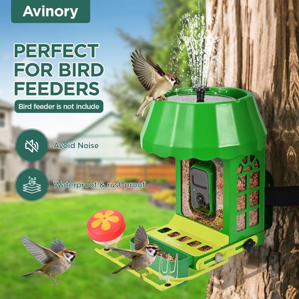 Combined Bird Feeder and Fountain Setup