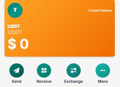 R-Cash Send Money Interface