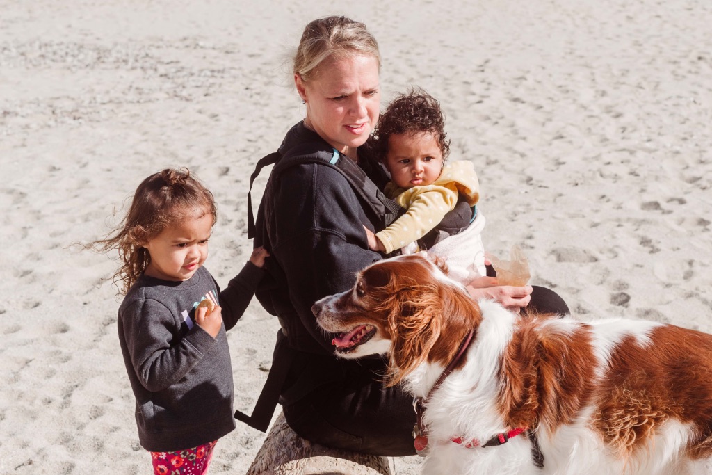 Family with kids and dogs at beach - trusted pet care Los Altos