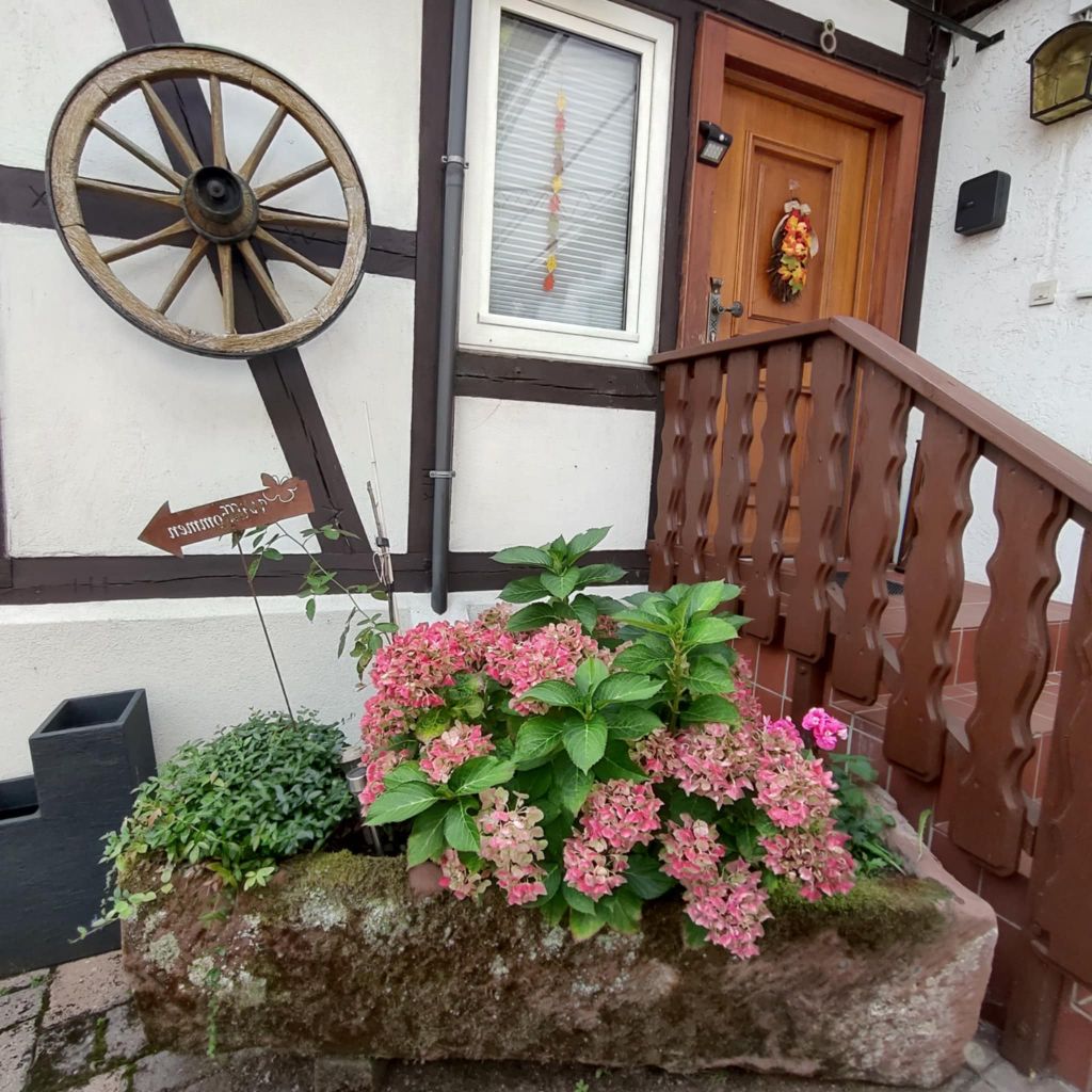 Steintrough mit Hortensien am Fachwerk-Eingang