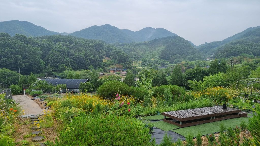 금산 자연 풍경