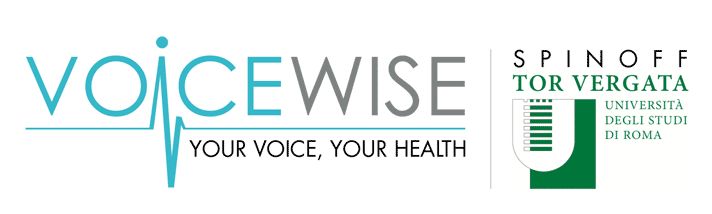 VoiceWise Logo