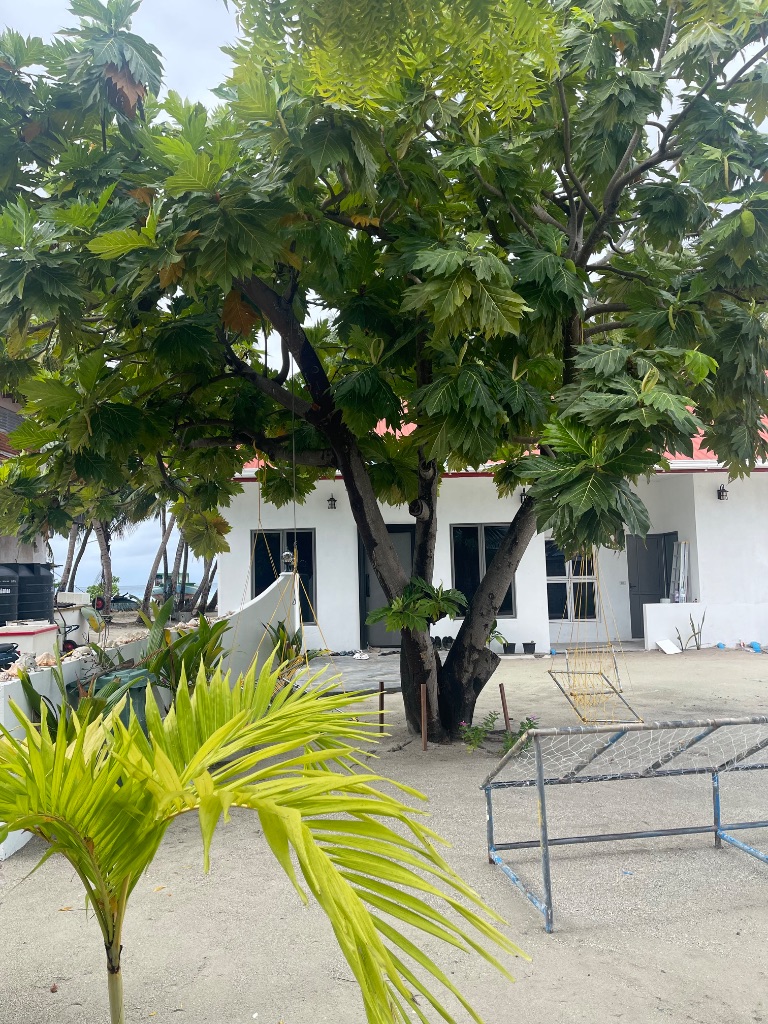 Room View