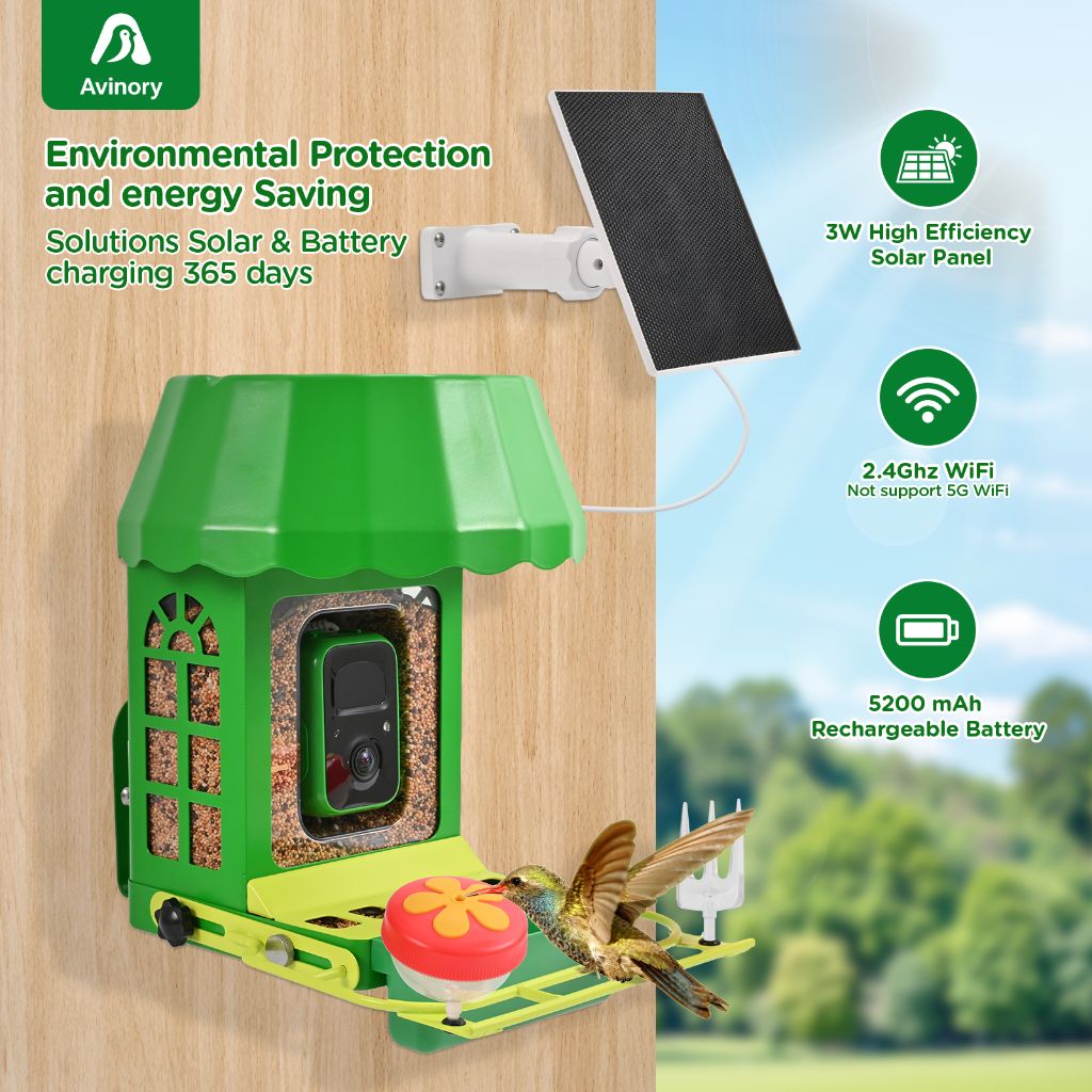 Solar Powered Bird Feeder