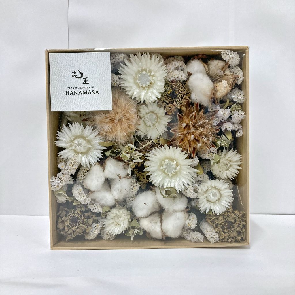 新店舗オープンのお知らせ