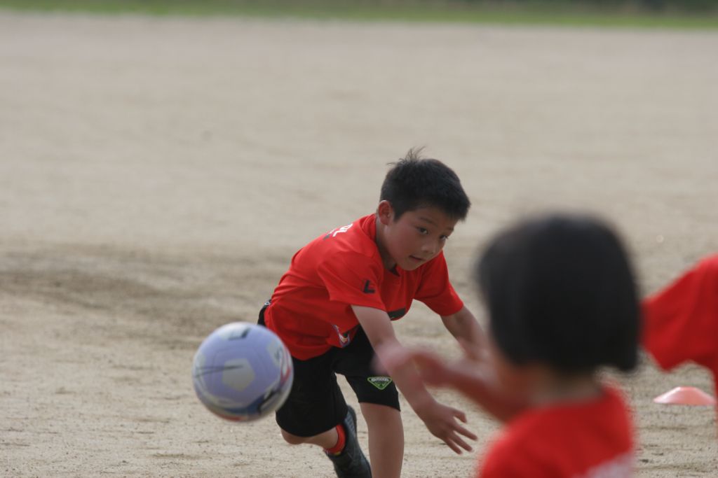 レオソルドッジボールレッスンの様子